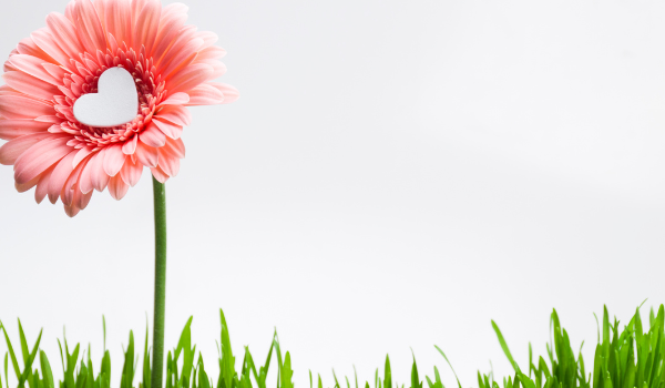 Signs of a Healthy Relationship