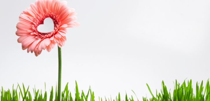 Signs of a Healthy Relationship