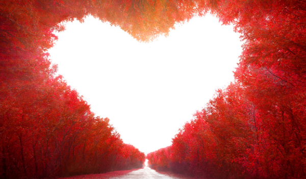 What is love bombing