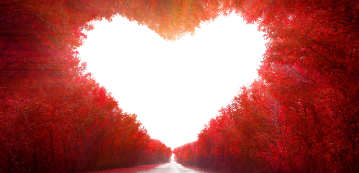 What is love bombing